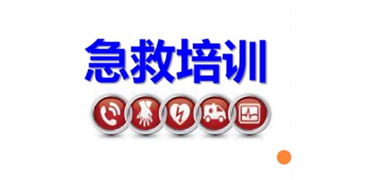 教育部辦公廳關(guān)于開(kāi)展全國(guó)學(xué)校急救教育試點(diǎn)工作的通知