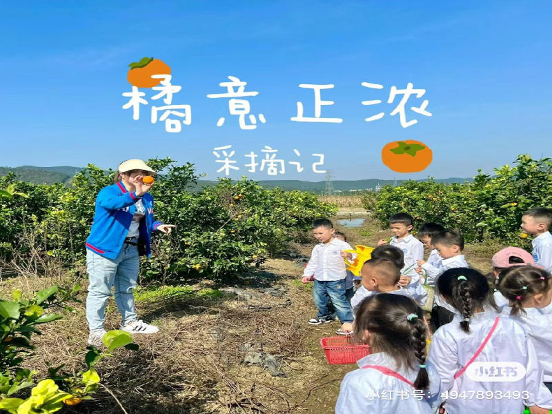 郴州海亮小太陽幼兒園師生風(fēng)采